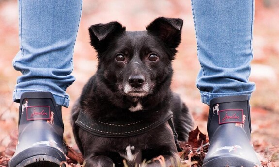 Konkurs Fotograficzny: BRAWO MY - ja i moje zwierzę